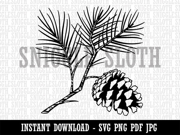 Pine Tree Branch with Pinecone Cone Winter Clipart Digital Download SV – Sniggle  Sloth