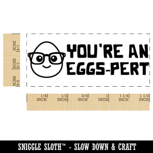 You're an Eggs-pert Expert Teacher Student School Self-Inking Portable Pocket Stamp 1-1/2" Ink Stamper