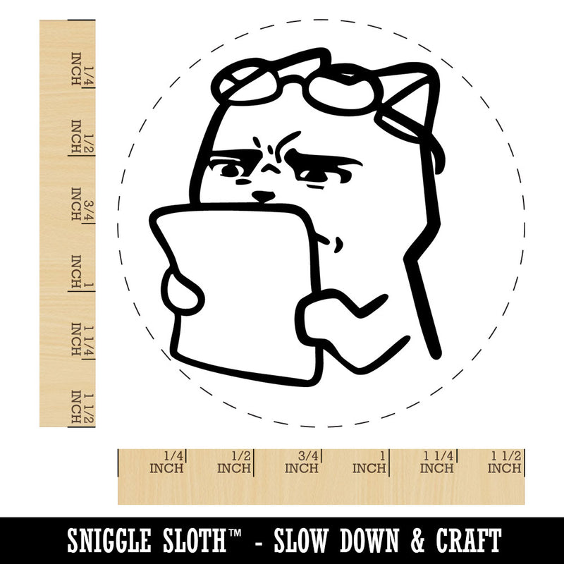 Funny Concerned Confused Disturbed Teacher Cat Paper Homework Self-Inking Rubber Stamp for Stamping Ink Stamper