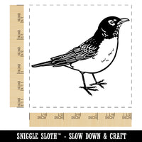 Delightful American Robin Bird Self-Inking Rubber Stamp Ink Stamper