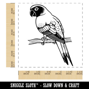 Sun Conure Parrot on a Branch Self-Inking Rubber Stamp Ink Stamper