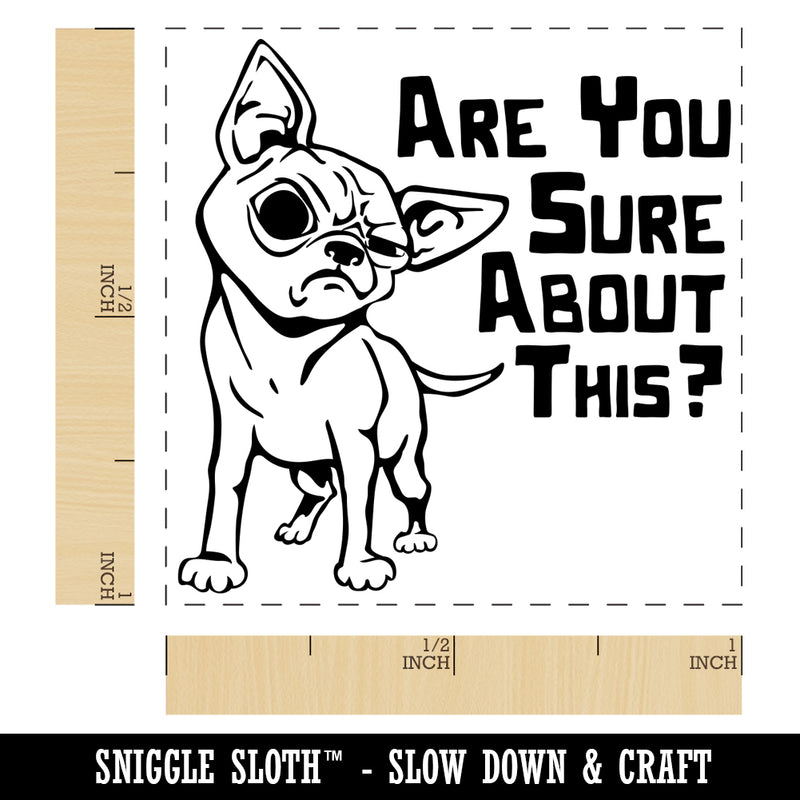 Are You Sure About this Skeptical Chihuahua Dog Self-Inking Rubber Stamp Ink Stamper