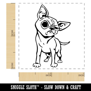 Suspicious Chihuahua Dog Self-Inking Rubber Stamp Ink Stamper