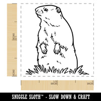 Groundhog Woodchuck Standing Up Self-Inking Rubber Stamp Ink Stamper