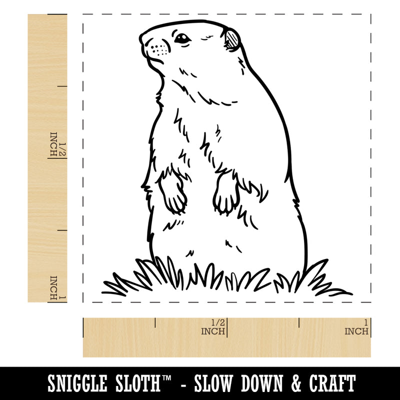 Groundhog Woodchuck Standing Up Self-Inking Rubber Stamp Ink Stamper