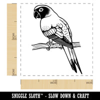 Sun Conure Parrot on a Branch Self-Inking Rubber Stamp Ink Stamper