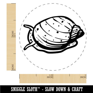 Freshwater Pond Snail Mollusk Shell Rubber Stamp for Stamping Crafting Planners