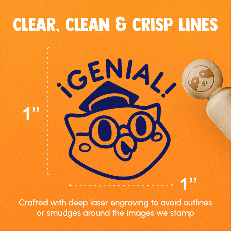 Genial Spanish Brilliant Scholar Owl Bird Teacher Stamp Rubber Stamp for Stamping Crafting Planners