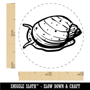 Freshwater Pond Snail Mollusk Shell Rubber Stamp for Stamping Crafting Planners