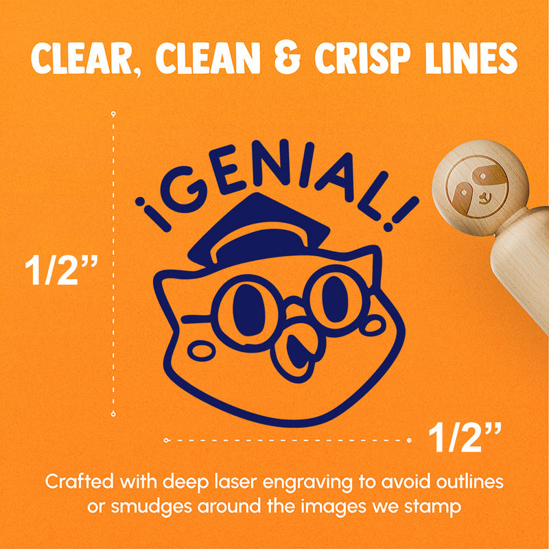 Genial Spanish Brilliant Scholar Owl Bird Teacher Stamp Rubber Stamp for Stamping Crafting Planners