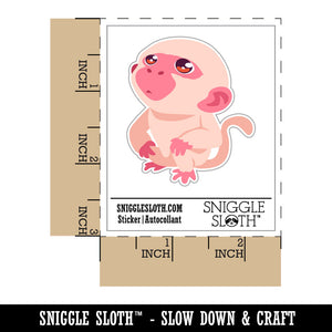 Water Bottle Sticker Set Curious Inquisitive Little Monkey Looking Up Cute Waterproof Vinyl Stickers Pack Decal, Skateboard, Laptop, Car, Window, Bumper - 5 Pack