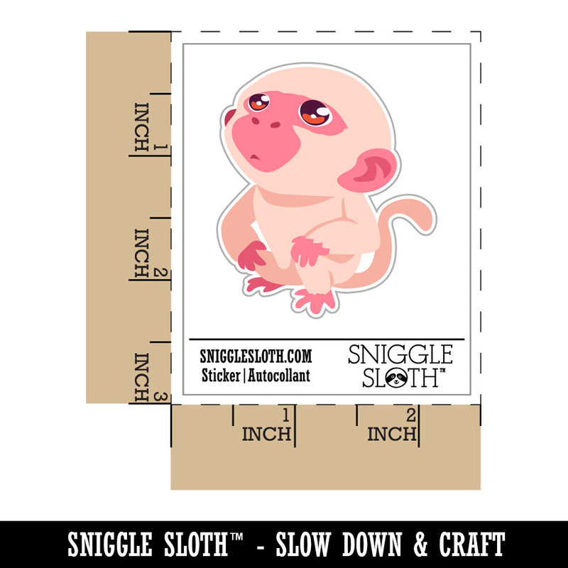 Water Bottle Sticker Set Curious Inquisitive Little Monkey Looking Up Cute Waterproof Vinyl Stickers Pack Decal, Skateboard, Laptop, Car, Window, Bumper - 5 Pack