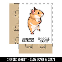 Water Bottle Sticker Set Wary Suspicious Syrian Hamster Standing Cute Waterproof Vinyl Stickers Pack Decal, Skateboard, Laptop, Car, Window, Bumper - 5 Pack