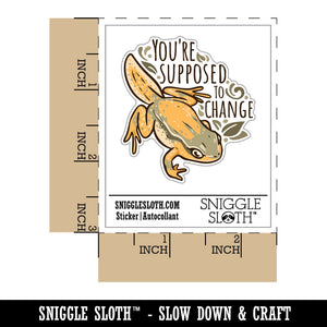 Water Bottle Sticker Set You're Supposed to Change Frog Motivation Cute Waterproof Vinyl Stickers Pack Decal, Skateboard, Laptop, Car, Window, Bumper - 5 Pack