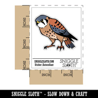 American Kestrel Falcon Bird of Prey Waterproof Vinyl Phone Tablet Laptop Water Bottle Car Window Bumper Decal Sticker Set - 5 Pack