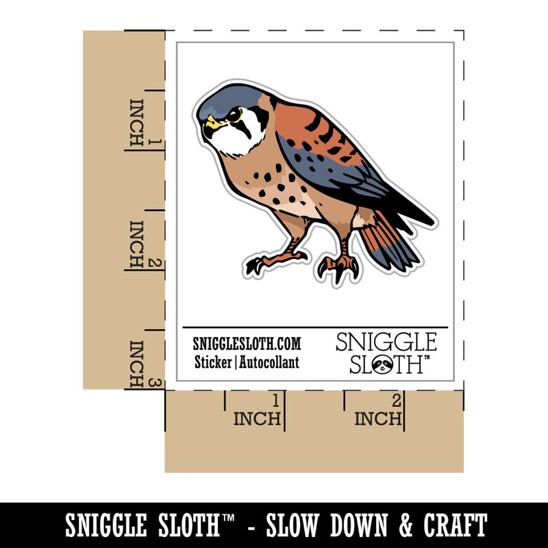 American Kestrel Falcon Bird of Prey Waterproof Vinyl Phone Tablet Laptop Water Bottle Car Window Bumper Decal Sticker Set - 5 Pack