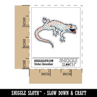 Angry Tokay Gecko Realistic Lizard Waterproof Vinyl Phone Tablet Laptop Water Bottle Car Window Bumper Decal Sticker Set - 5 Pack
