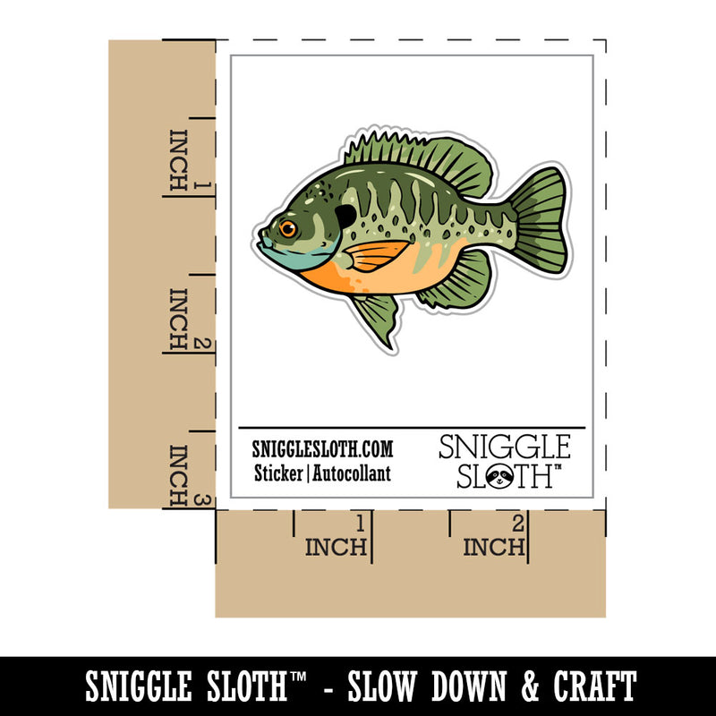 Bluegill Freshwater Fish Bream Copper Nose Waterproof Vinyl Phone Tablet Laptop Water Bottle Car Window Bumper Decal Sticker Set - 5 Pack