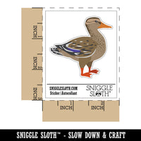 Female Mallard Duck Bird Fowl Waterproof Vinyl Phone Tablet Laptop Water Bottle Car Window Bumper Decal Sticker Set - 5 Pack