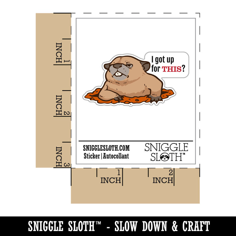 Grumpy Groundhog I got Up For This Waterproof Vinyl Phone Tablet Laptop Water Bottle Car Window Bumper Decal Sticker Set - 5 Pack