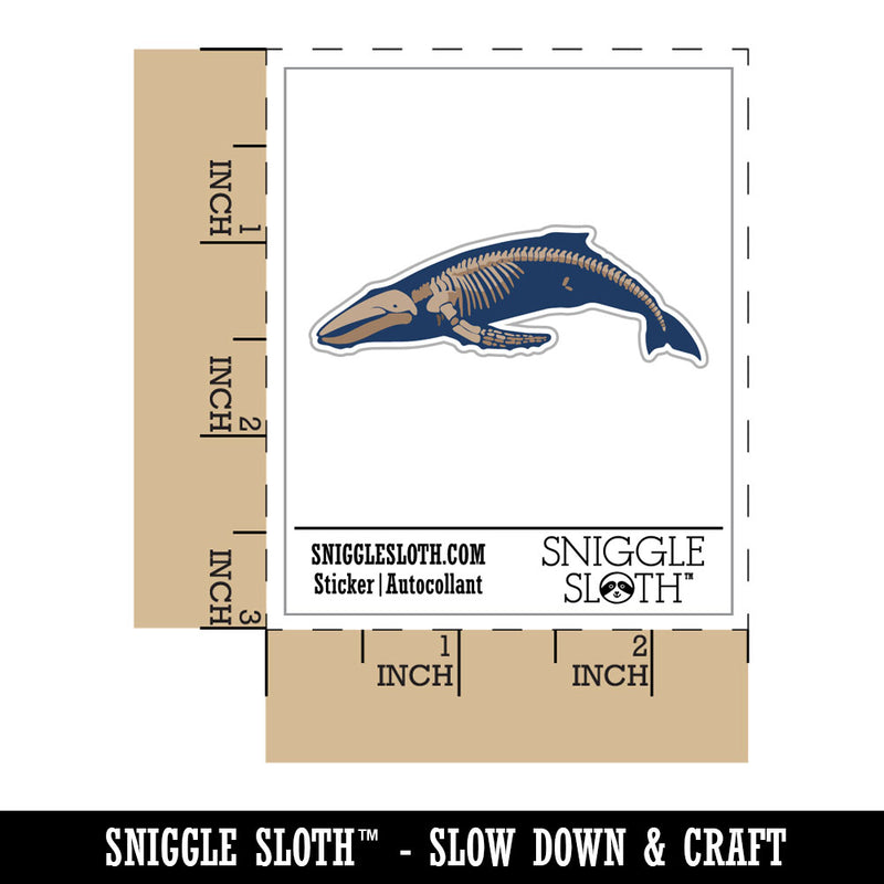 Humpback Whale Skeleton Bones Waterproof Vinyl Phone Tablet Laptop Water Bottle Car Window Bumper Decal Sticker Set - 5 Pack
