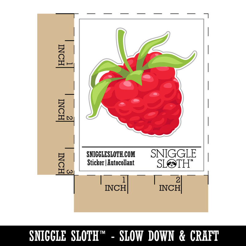 Juicy Ripe Raspberry Berry Fruit Waterproof Vinyl Phone Tablet Laptop Water Bottle Car Window Bumper Decal Sticker Set - 5 Pack
