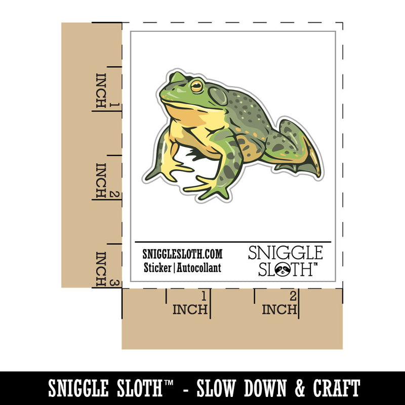 Realistic American Bullfrog Amphibian Frog Waterproof Vinyl Phone Tablet Laptop Water Bottle Car Window Bumper Decal Sticker Set - 5 Pack