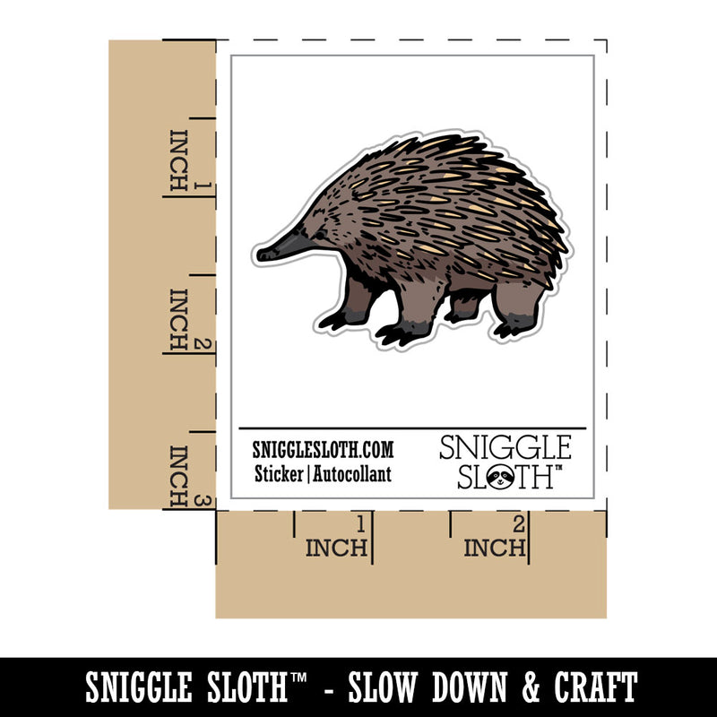 Realistic Echidna Spiny Anteater Waterproof Vinyl Phone Tablet Laptop Water Bottle Car Window Bumper Decal Sticker Set - 5 Pack