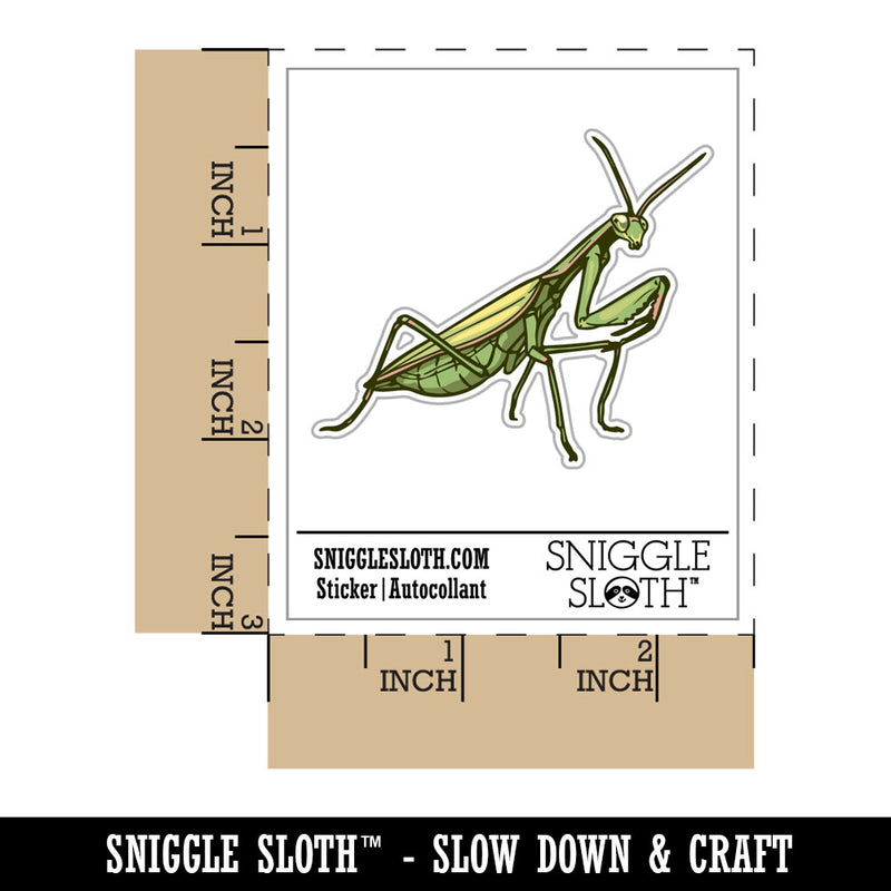 Realistic Praying Mantis Bug Insect Waterproof Vinyl Phone Tablet Laptop Water Bottle Car Window Bumper Decal Sticker Set - 5 Pack