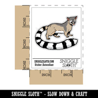 Realistic Ringtail Miner's Cat Mammal Waterproof Vinyl Phone Tablet Laptop Water Bottle Car Window Bumper Decal Sticker Set - 5 Pack