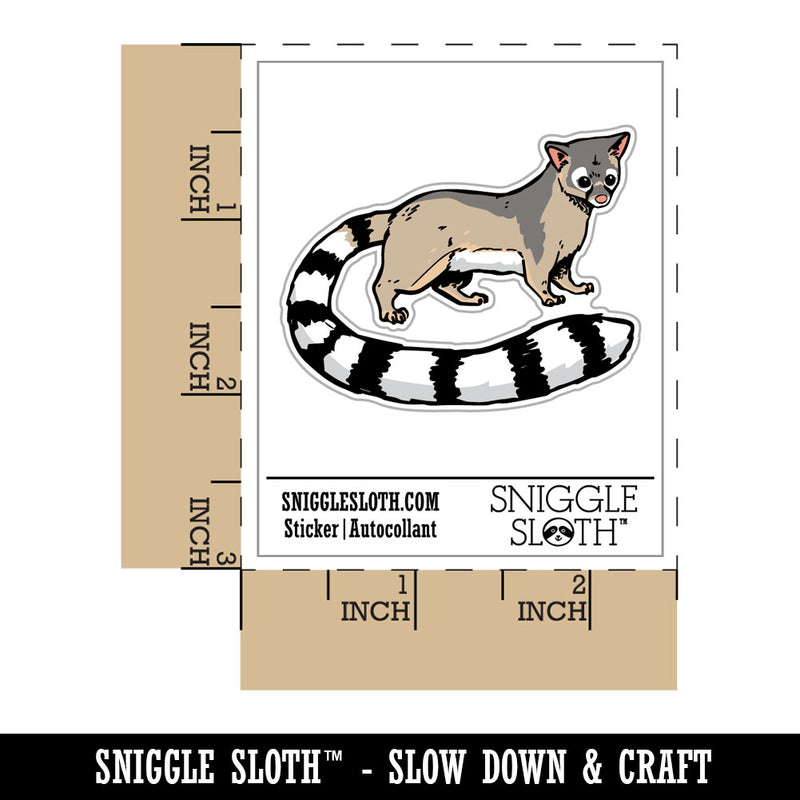 Realistic Ringtail Miner's Cat Mammal Waterproof Vinyl Phone Tablet Laptop Water Bottle Car Window Bumper Decal Sticker Set - 5 Pack