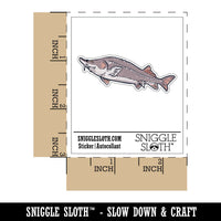 Realistic Sturgeon Large Fish Caviar Waterproof Vinyl Phone Tablet Laptop Water Bottle Car Window Bumper Decal Sticker Set - 5 Pack