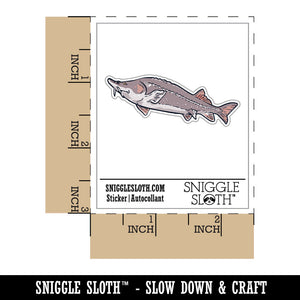 Realistic Sturgeon Large Fish Caviar Waterproof Vinyl Phone Tablet Laptop Water Bottle Car Window Bumper Decal Sticker Set - 5 Pack