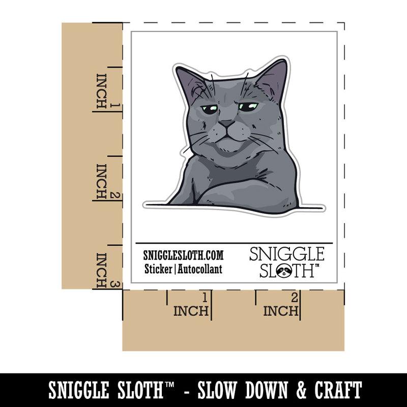 Russian Blue Cat Condescending Unimpressed Look Waterproof Vinyl Phone Tablet Laptop Water Bottle Car Window Bumper Decal Sticker Set - 5 Pack