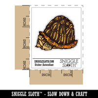 Shy Hiding Western Box Turtle Cartoon Waterproof Vinyl Phone Tablet Laptop Water Bottle Car Window Bumper Decal Sticker Set - 5 Pack