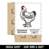 Big Brahma Chicken Feathered Legs