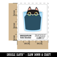 Cat Kitten In Glass Vase Container