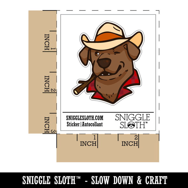 Cowboy Hat Chocolate Labrador Retriever Dog