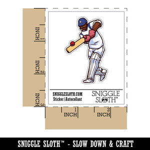 Cricket Player Sport Bat Ball