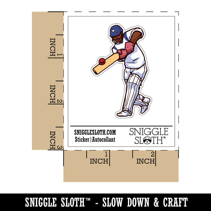 Cricket Player Sport Bat Ball