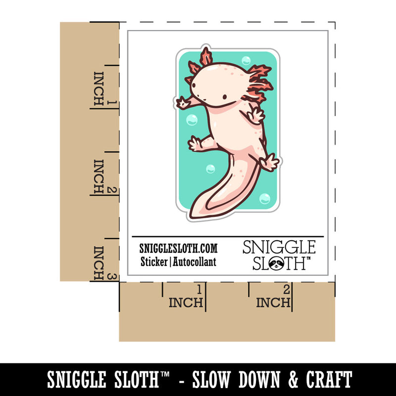 Curious Floating Axolotl Salamander