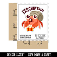 Fascinating Shocked Amazed Hermit Crab With Popcorn