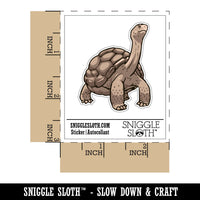Giant Galapagos Aldabra Tortoise Reptile Turtle