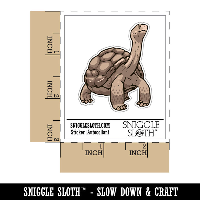 Giant Galapagos Aldabra Tortoise Reptile Turtle