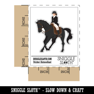 Horseback Riding Woman Equestrian Horse Riding
