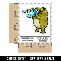 Hydrate Frog with Water Bottle