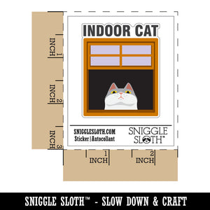 Indoor Cat in Window