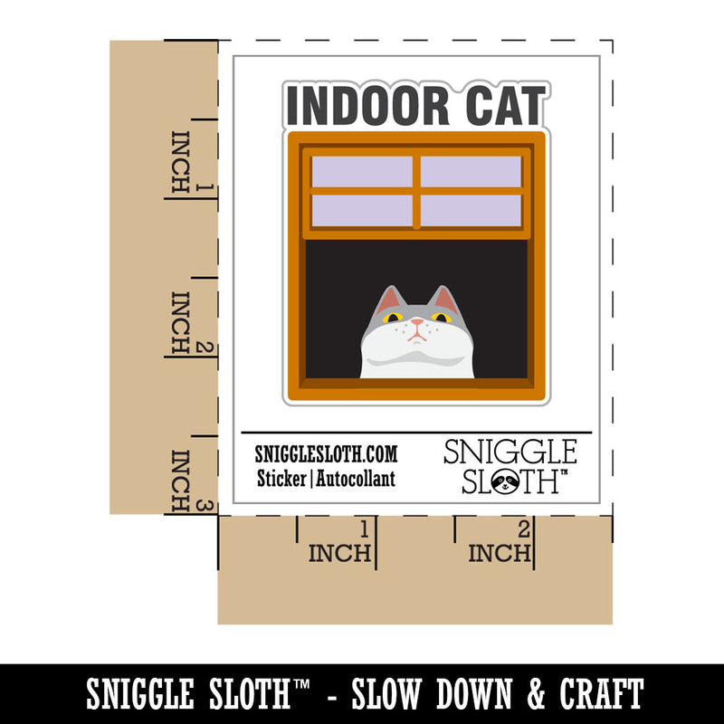 Indoor Cat in Window