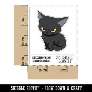 Mischevious Devious Angry Kitten Cat