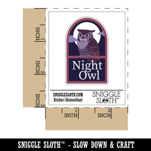 Night Owl Nocturnal Person Bird Window